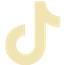 tiktok social link